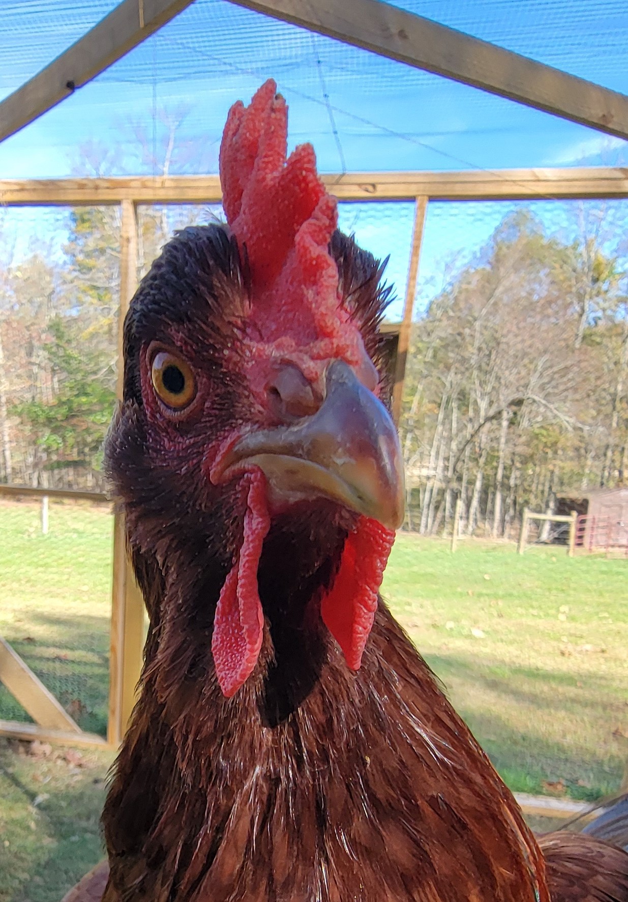 Rustic Ridge Farm